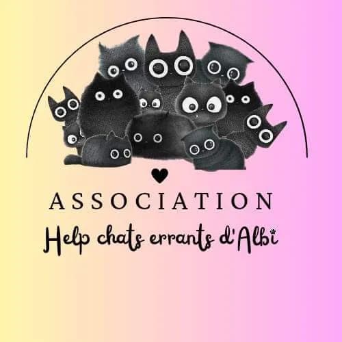 Help chats errants d'Albi