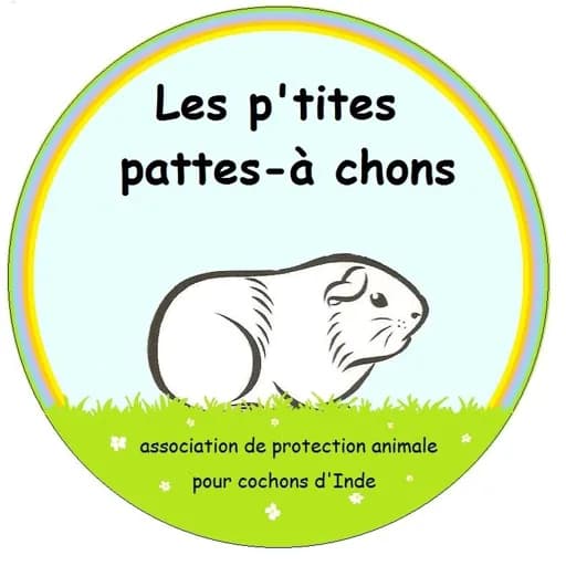 Les p'tites pattes-à chons