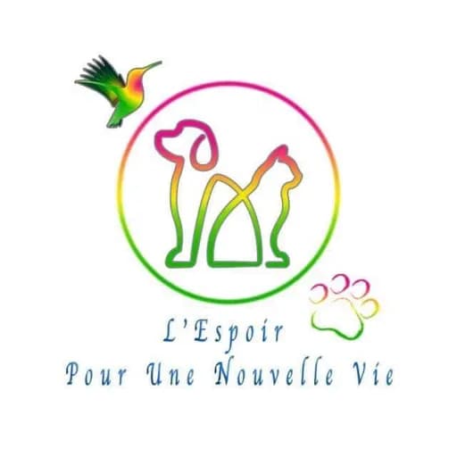 L'Espoir pour une Nouvelle Vie