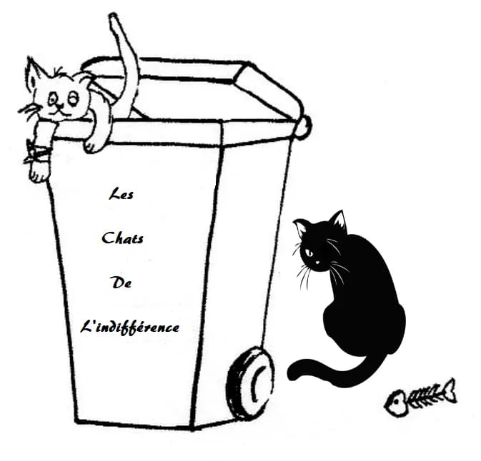 Les Chats de l'indifférence