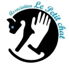 Le petit chat
