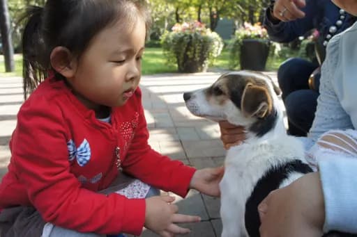 Saved in China