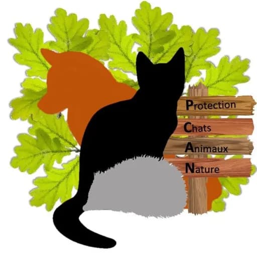 Protection - Chats Animaux Nature