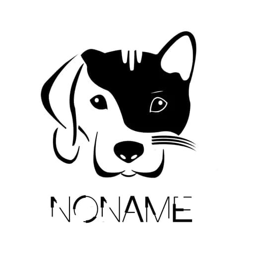 Noname Association