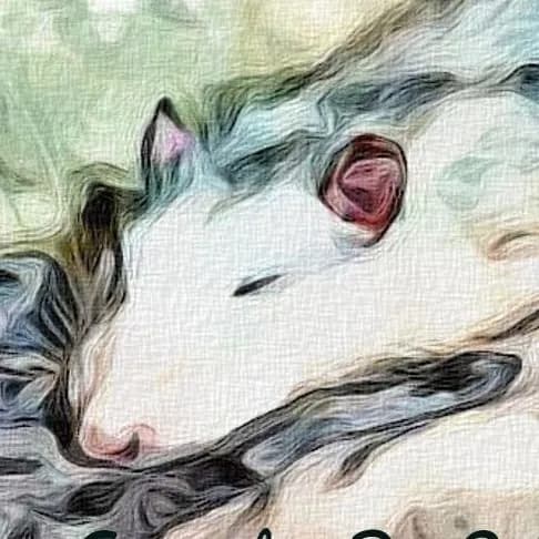 Association des rats-cailles