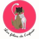 Les Félins de l'Espoir