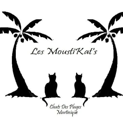Les Moustikat's - Chats des plages Martinique
