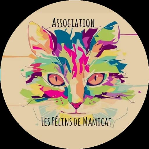 Les Félins de mamicat