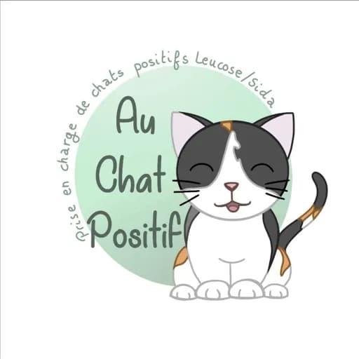 Au chat positif