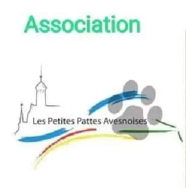 Les petites pattes Avesnoises