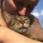 Les Chats de Feelin’ Good
