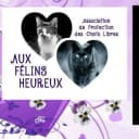 Aux Félins heureux