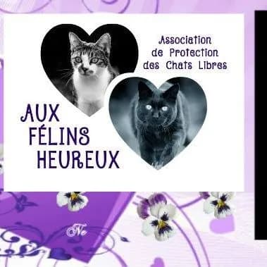 Aux Félins heureux