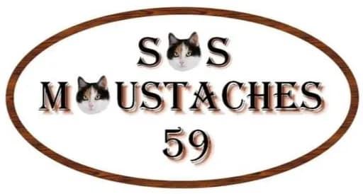 SOS Moustaches 59