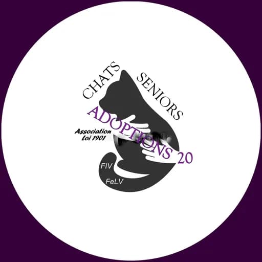 Chats Seniors Adoptions 20
