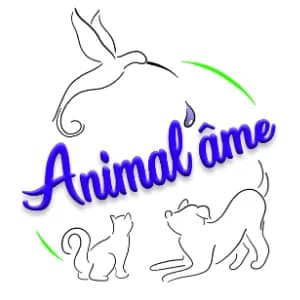 Animal'âme