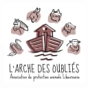 L’arche des oubliés du 33