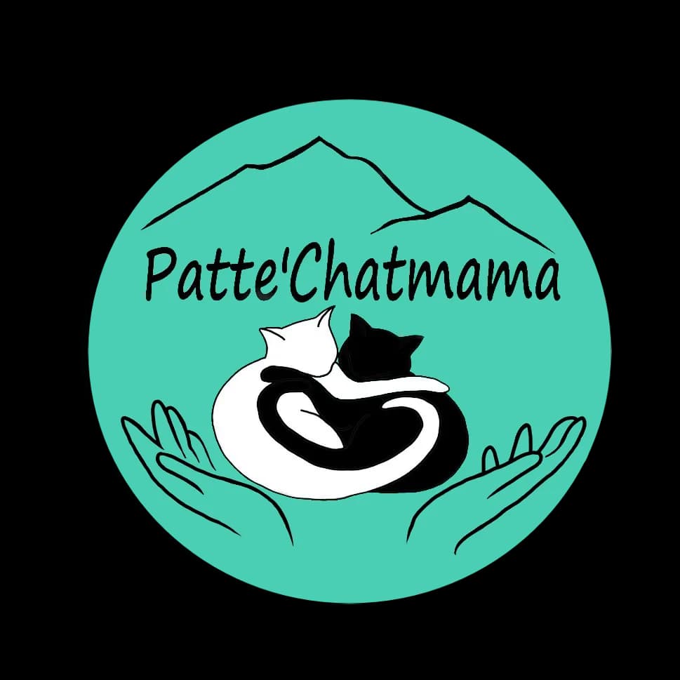 Association Patte'Chatmama