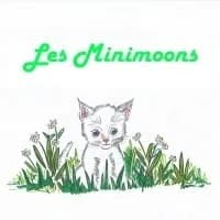 Les Minimoons des Grandes Bruyères