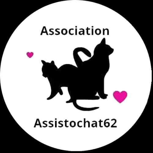 Assistochat