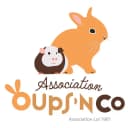 Oupsandco