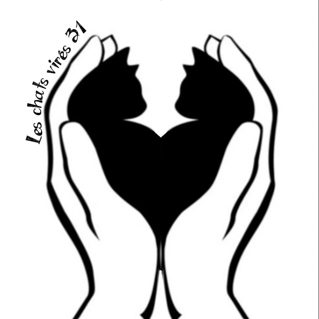Les Chats Virés 31