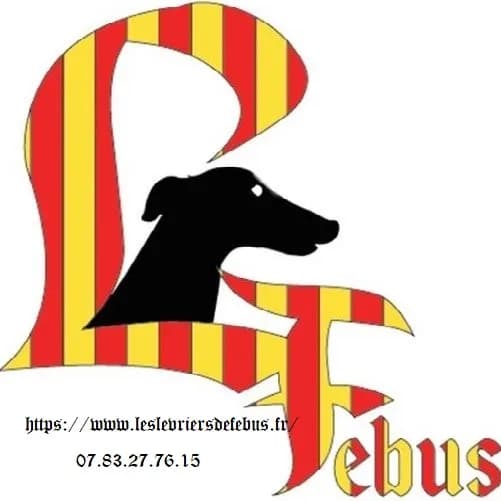 Les lévriers de Fébus