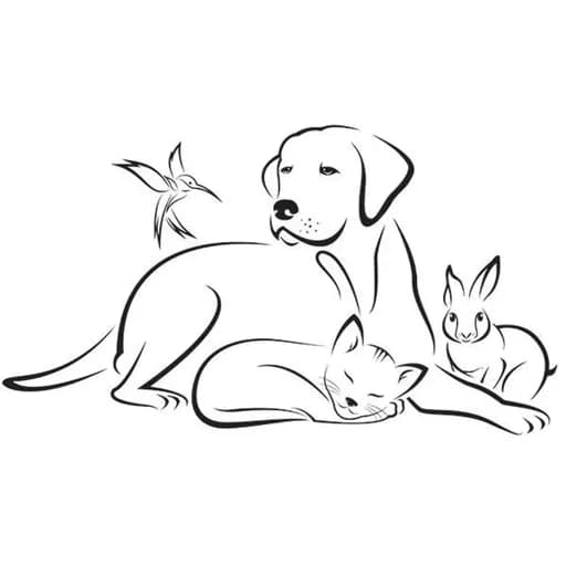 Des coeurs pour les pattes du 93