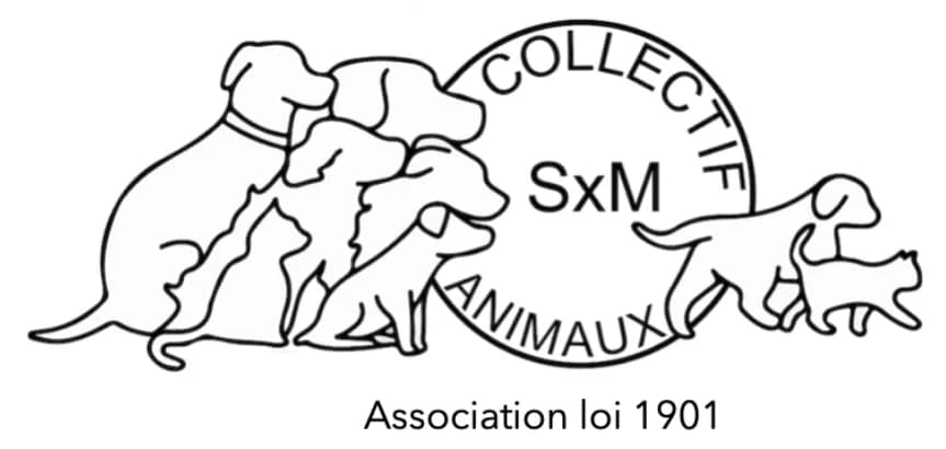 Collectif Animaux SXM