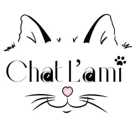 Chat L'ami