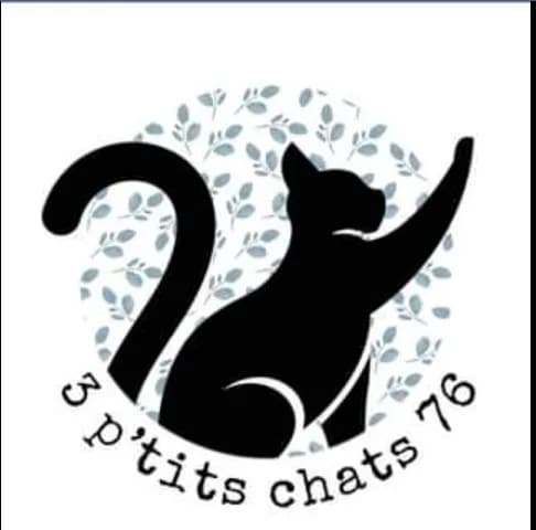 3 P'tits chats 76