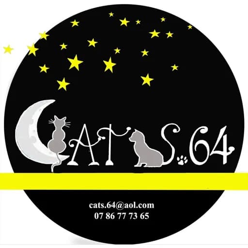 Cats 64