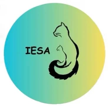 Internet Et Ses Amis