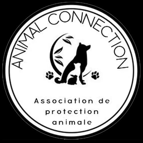 Animal Connection