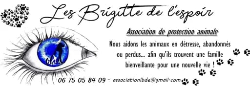 Les Brigitte de l'espoir