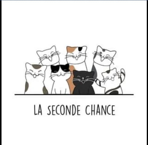 La Seconde Chance