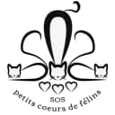 SOS Petits Coeurs de Félins
