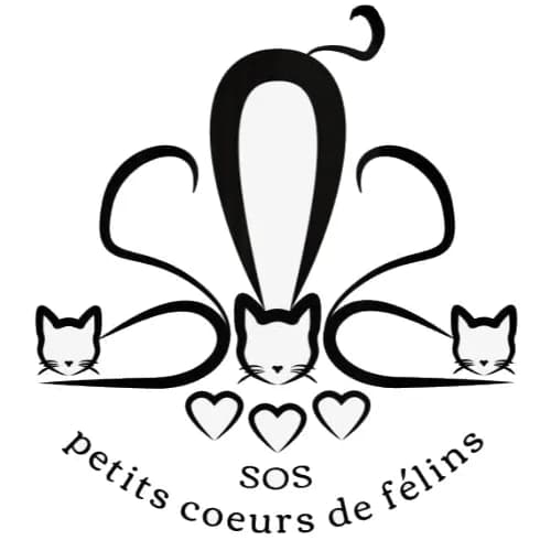 SOS Petits Coeurs de Félins