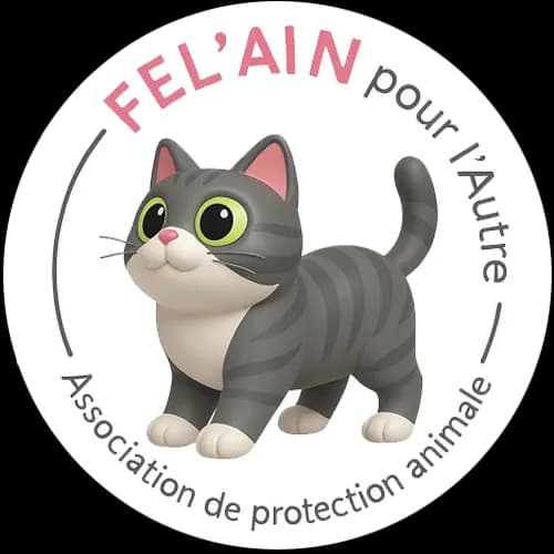 Fel'Ain pour l'autre