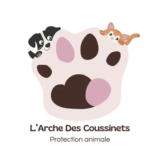 L'arche des coussinets