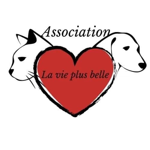 La vie plus belle
