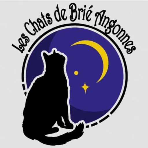 Les chats de Brié Angonnes