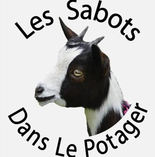 Les sabots dans le potager