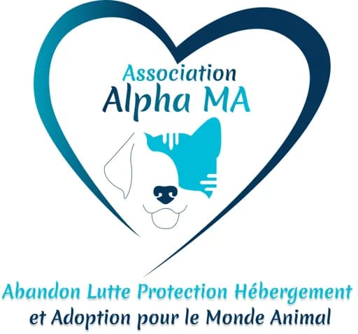Association Alpha ma