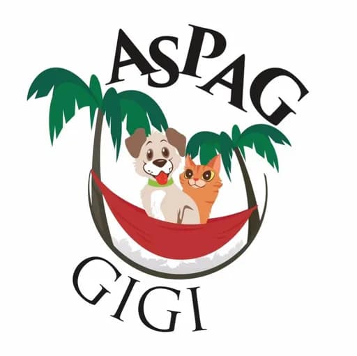 ASPAG gigi