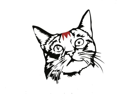 Les Tabbies de Marie