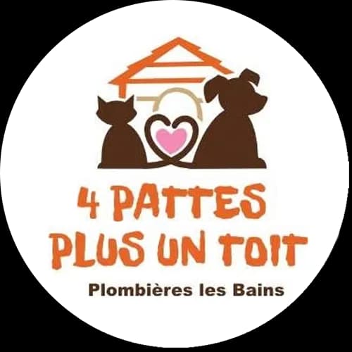 4 Pattes Plus Un Toit