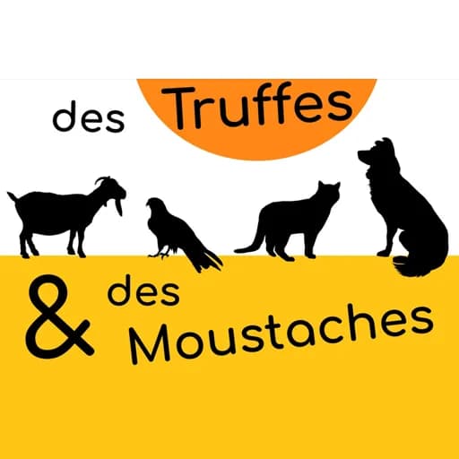 Des truffes et des moustaches