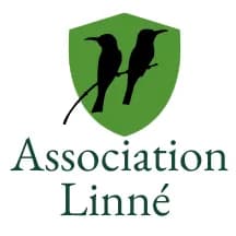 Linné