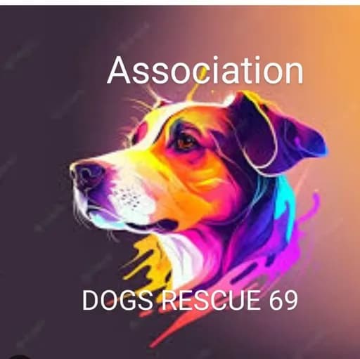 Dogs rescue 69
